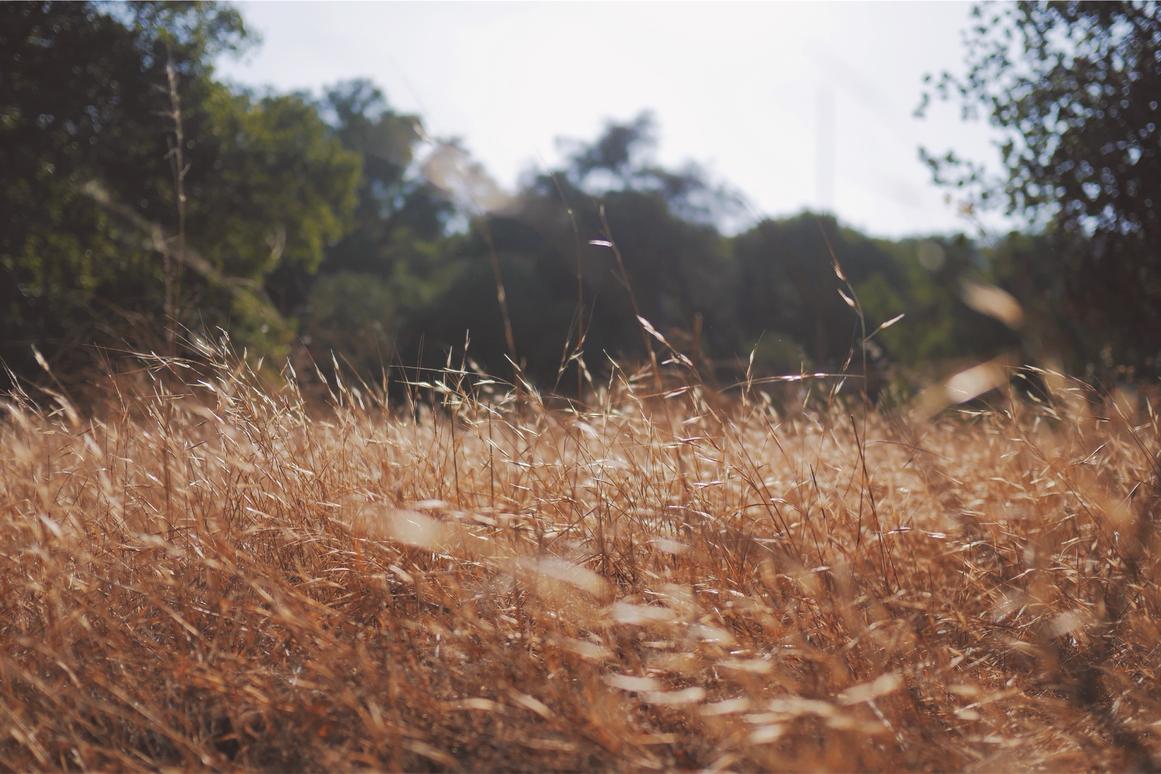 Dolor id quidem et assumenda et voluptatem numquam possimus delectus